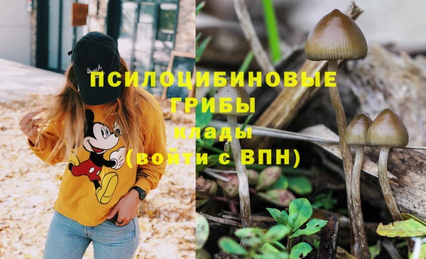 таблы Нея