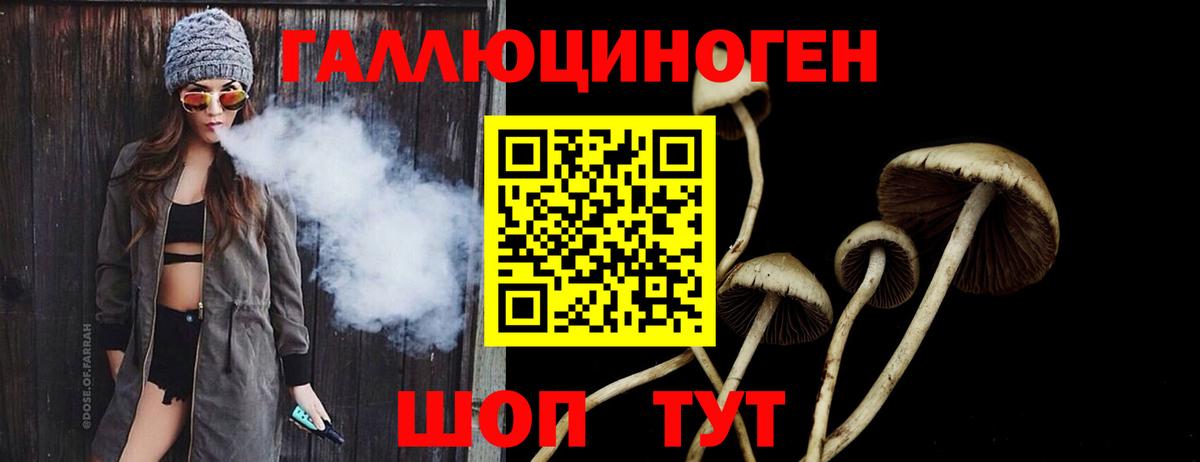 Галлюциногенные грибы Psilocybine cubensis  Рославль 